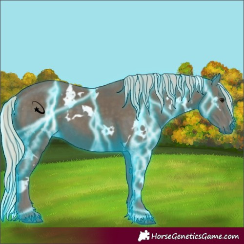 Horse Color:Thunderstruck White Spotted Silver Smoky Black 