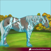 Horse Color:Thunderstruck White Spotted Silver Smoky Black