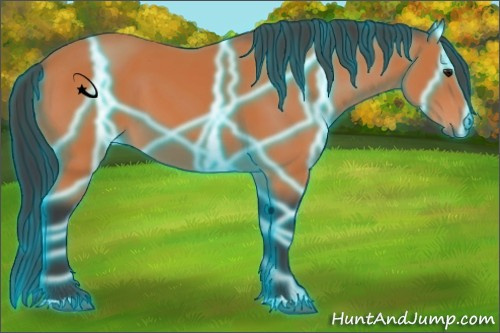 Horse Color:Thunderstruck Bay 