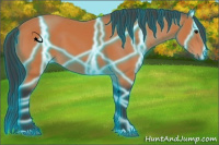 Horse Color:Thunderstruck Bay 