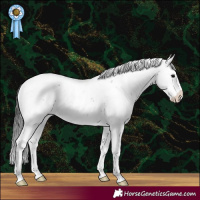 Horse Color:Black Sabino