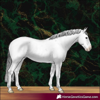 Horse Color:Black Sabino 