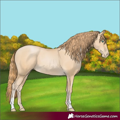 Horse Color:Smoky Black Pearl