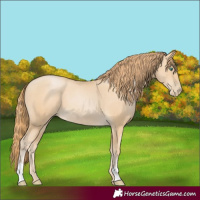 Horse Color:Smoky Black Pearl 