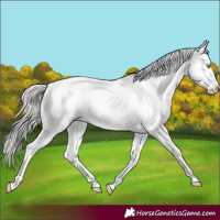 Horse Color:Silver Sable Champagne Dun Sabino 
