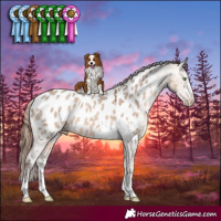 Horse Color:Sable Champagne Dun Sabino Near Leopard 