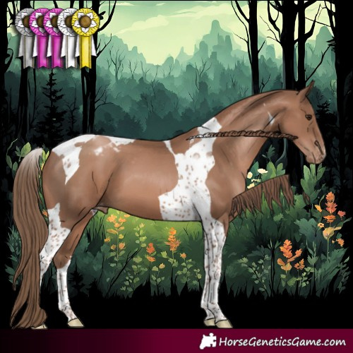 Horse Color:Black Pearl Tobiano Blanket 