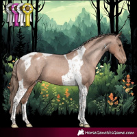 Horse Color:Black Pearl Tobiano Appaloosa 