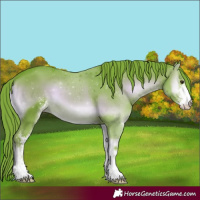 Horse Color:Watercolor Liver Red Onyx Sabino 