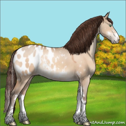 Horse Color:Sable Champagne Dun Sabino Appaloosa 
