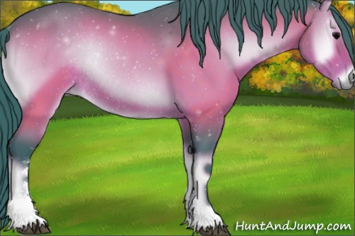Horse Color:Watercolor Bay Onyx Sabino Rabicano 