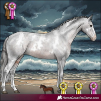 Horse Color:White Spotted Brown Sabino Varnish 