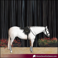 Horse Color:Gray Chestnut 