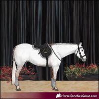 Horse Color:Gray Chestnut 