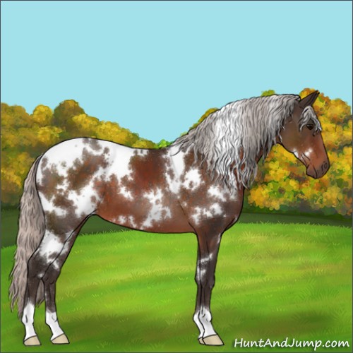 Horse Color:White Spotted Silver Brown 