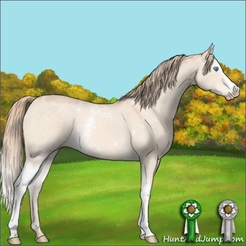 Horse Color:White Spotted Perlino Dun 