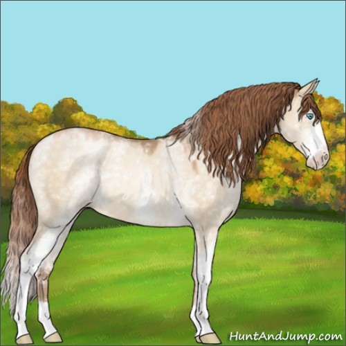 Horse Color:White Spotted Buckskin Pearl Dun 