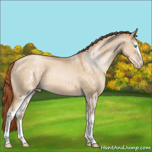 Horse Color:White Spotted Buckskin Pearl Dun Sabino 
