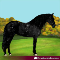 Horse Color:ERROR: UNKNOWN ANOMALY