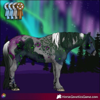 Horse Color:ERROR: UNKNOWN ANOMALY