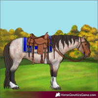 Horse Color:Bay Roan Tobiano