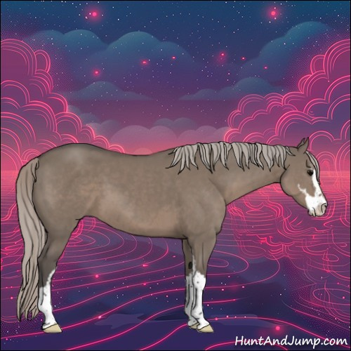 Horse Color:Silver Grullo Sabino 