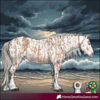Horse Color:Silver Brown Dun Sabino Rabicano and Buckskin Dun Appaloosa Rabicano