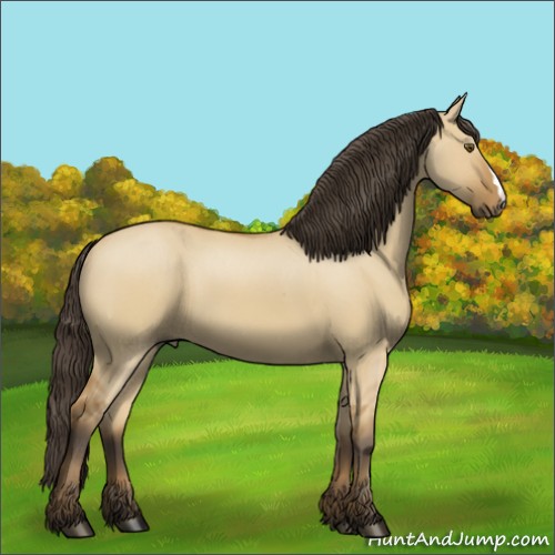Horse Color:Buckskin Dun 