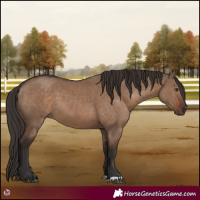 Horse Color:Liver Red Dun 