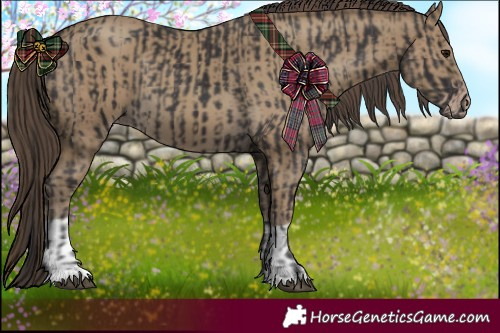 Horse Color:Smoky Black  and Classic Cream Champagne 