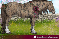 Horse Color:Smoky Black and Classic Cream Champagne