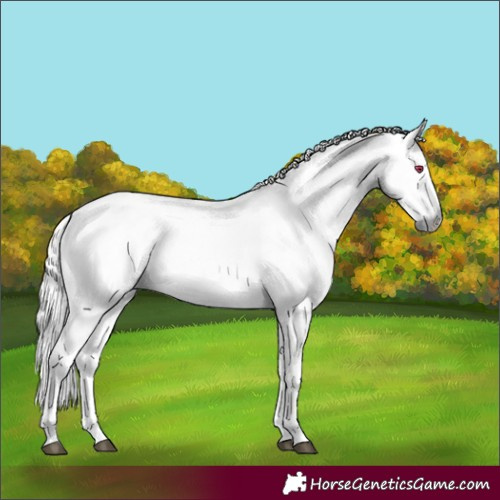 Horse Color:Liver Chestnut Chinchilla Mushroom 