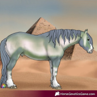 Horse Color:Watercolor Brown Onyx 
