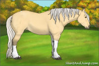 Horse Color:Silver Buckskin Dun Tobiano