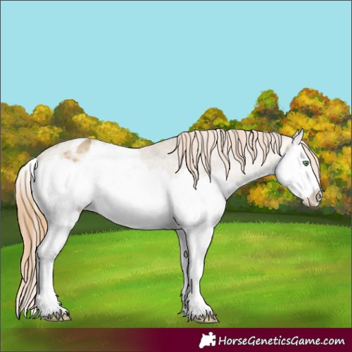 Horse Color:Sable Cream Champagne Dun Splash Varnish 