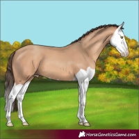Horse Color:Amber Champagne Splash 
