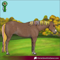 Horse Color:Painted Silver Black