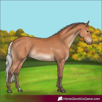 Horse Color:Silver Bay 