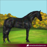 Horse Color:Midnight Black Ice 