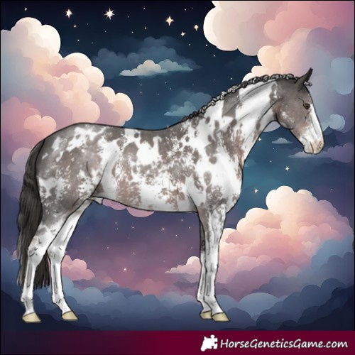 Horse Color:Platinum White Spotted Liver Chestnut Sabino 