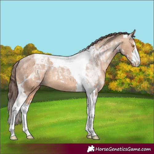 Horse Color:White Spotted Amber Champagne Tobiano Varnish