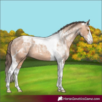 Horse Color:White Spotted Amber Champagne Tobiano Varnish 