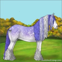 Horse Color:White Spotted Liver Red Onyx Chinchilla Ice Sabino Rabicano 