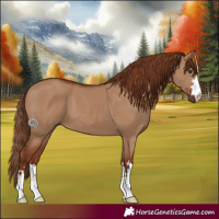 Horse Color:Red Dun 