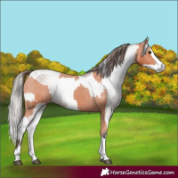 Horse Color:Bay Splash Tobiano Varnish  and Gray Bay Splash Tobiano Varnish 