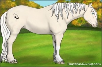 Horse Color:Silver Perlino Sabino Tobiano