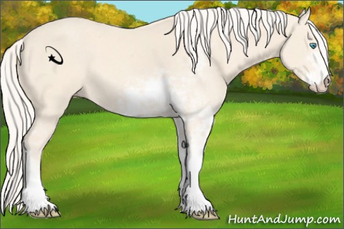 Horse Color:Cremello Sabino