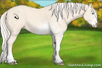 Horse Color:Cremello Sabino 