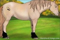 Horse Color:Gold Champagne Tobiano
