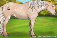 Horse Color:White Spotted Silver Amber Champagne Roan 